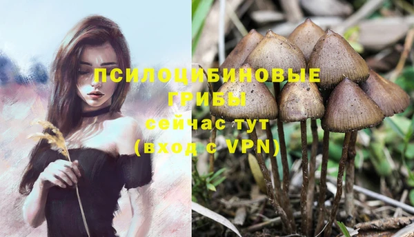 кокаин премиум Майский